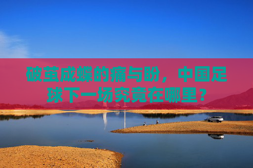 破茧成蝶的痛与盼,中国足球下一场究竟在哪里?