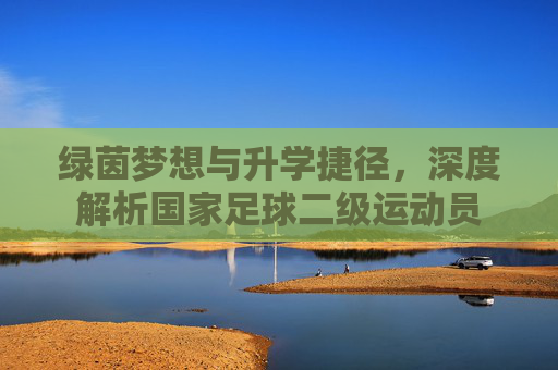 绿茵梦想与升学捷径,深度解析国家足球二级运动员