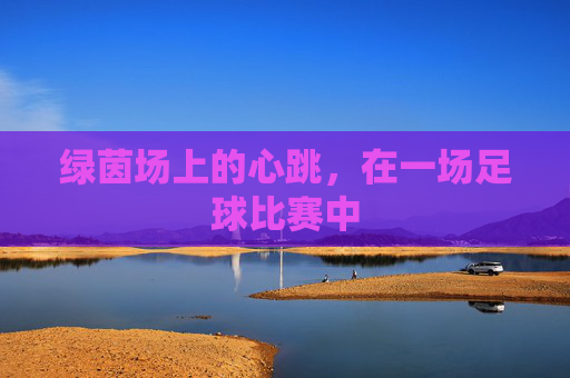 绿茵场上的心跳,在一场足球比赛中