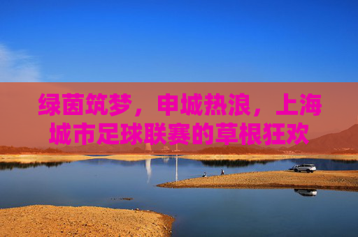 绿茵筑梦,申城热浪,上海城市足球联赛的草根狂欢