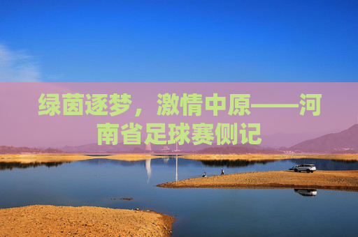 绿茵逐梦,激情中原——河南省足球赛侧记