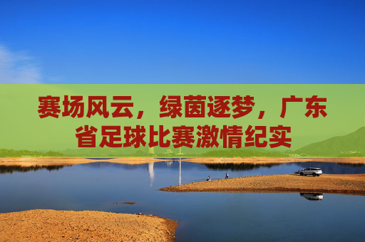 赛场风云，绿茵逐梦，广东省足球比赛激情纪实