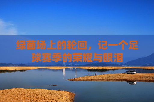 绿茵场上的轮回，记一个足球赛季的荣耀与眼泪