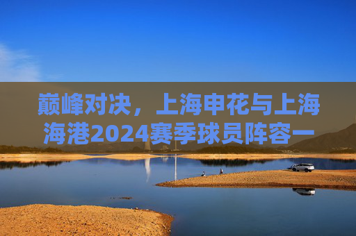 巅峰对决,上海申花与上海海港2024赛季球员阵容一览