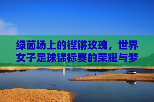 绿茵场上的铿锵玫瑰,世界女子足球锦标赛的荣耀与梦想