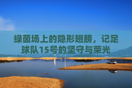 绿茵场上的隐形翅膀,记足球队15号的坚守与荣光