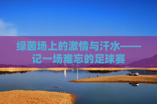 绿茵场上的激情与汗水——记一场难忘的足球赛