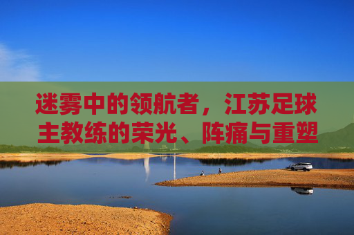 迷雾中的领航者,江苏足球主教练的荣光、阵痛与重塑