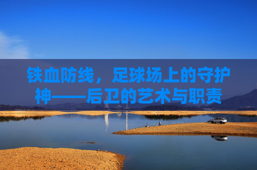 铁血防线,足球场上的守护神——后卫的艺术与职责