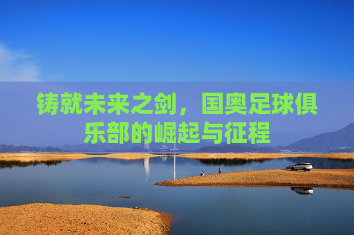 铸就未来之剑,国奥足球俱乐部的崛起与征程