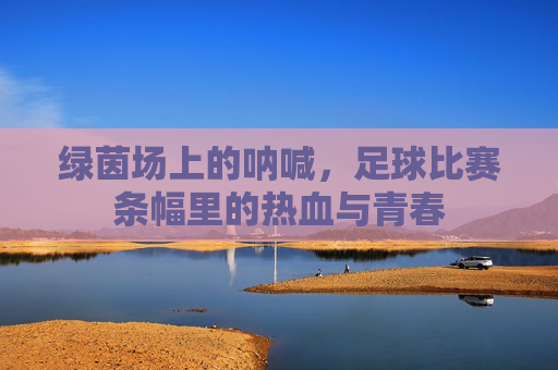 绿茵场上的呐喊,足球比赛条幅里的热血与青春