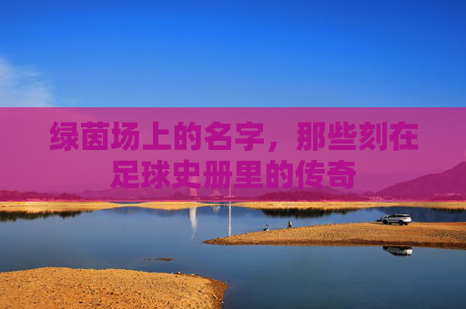 绿茵场上的名字,那些刻在足球史册里的传奇