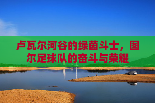 卢瓦尔河谷的绿茵斗士，图尔足球队的奋斗与荣耀