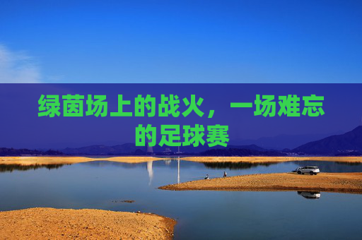 绿茵场上的战火,一场难忘的足球赛