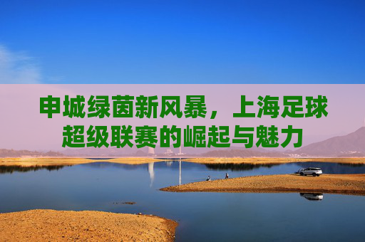 申城绿茵新风暴,上海足球超级联赛的崛起与魅力