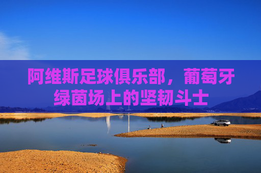 阿维斯足球俱乐部,葡萄牙绿茵场上的坚韧斗士