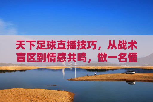 天下足球直播技巧,从战术盲区到情感共鸣,做一名懂球的看门人