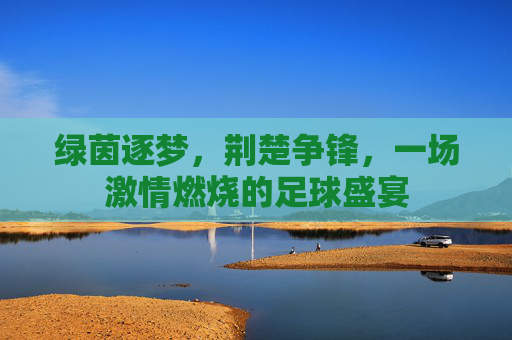 绿茵逐梦,荆楚争锋,一场激情燃烧的足球盛宴