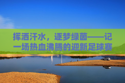 挥洒汗水,逐梦绿茵——记一场热血沸腾的迎新足球赛