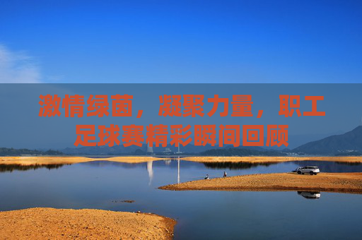 激情绿茵，凝聚力量，职工足球赛精彩瞬间回顾
