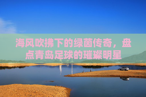 海风吹拂下的绿茵传奇，盘点青岛足球的璀璨明星