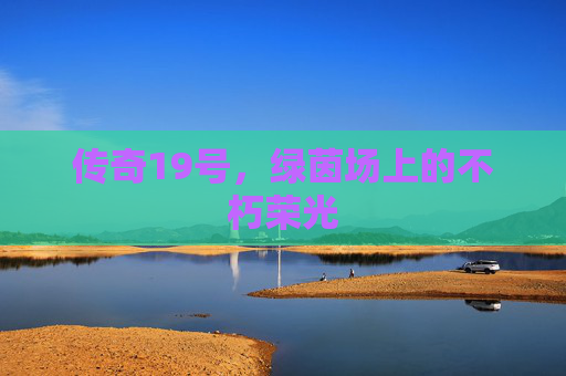 传奇19号，绿茵场上的不朽荣光