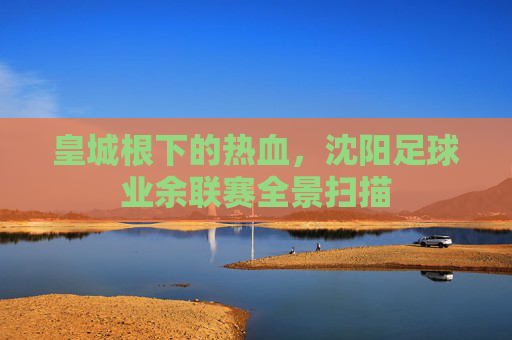 皇城根下的热血,沈阳足球业余联赛全景扫描