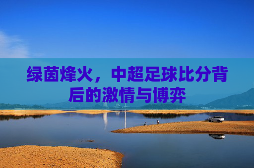 绿茵烽火，中超足球比分背后的激情与博弈