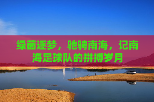 绿茵逐梦,驰骋南海,记南海足球队的拼搏岁月
