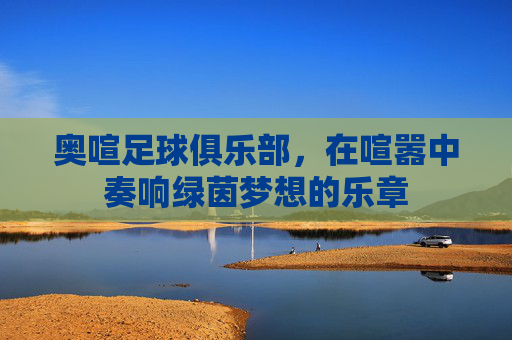 奥喧足球俱乐部,在喧嚣中奏响绿茵梦想的乐章
