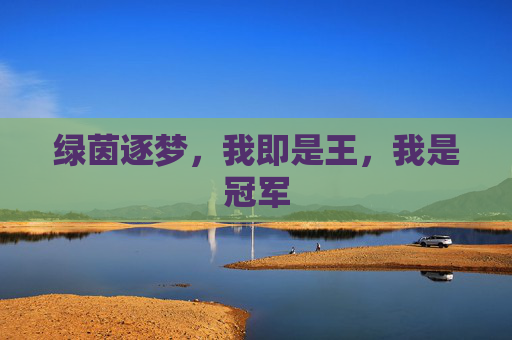 绿茵逐梦,我即是王,我是冠军