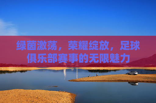 绿茵激荡,荣耀绽放,足球俱乐部赛事的无限魅力