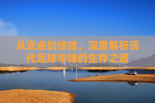 从支点到终结,深度解析现代足球中锋的生存之道