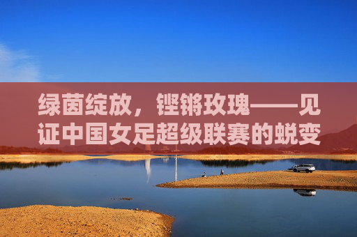 绿茵绽放,铿锵玫瑰——见证中国女足超级联赛的蜕变与荣光