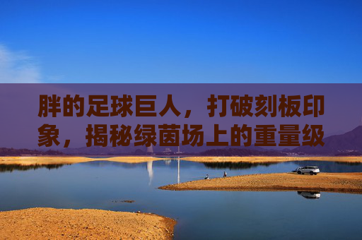 胖的足球巨人,打破刻板印象,揭秘绿茵场上的重量级力量