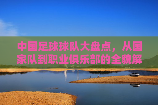 中国足球球队大盘点,从国家队到职业俱乐部的全貌解析