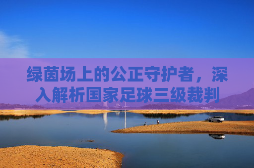 绿茵场上的公正守护者，深入解析国家足球三级裁判