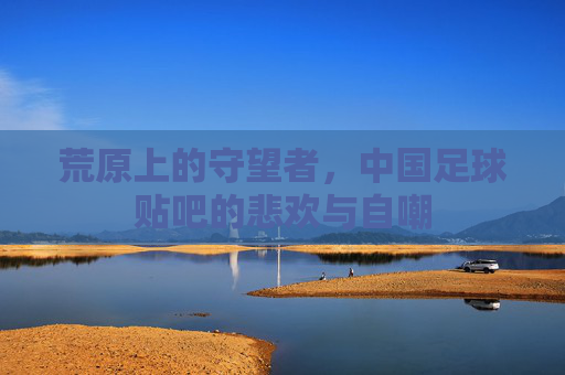 荒原上的守望者,中国足球贴吧的悲欢与自嘲