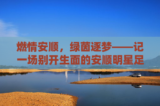 燃情安顺,绿茵逐梦——记一场别开生面的安顺明星足球赛