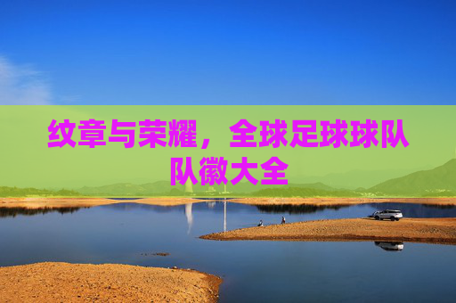 纹章与荣耀,全球足球球队队徽大全