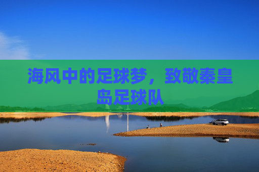 海风中的足球梦,致敬秦皇岛足球队