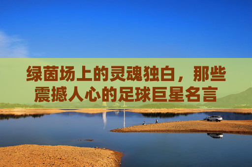 绿茵场上的灵魂独白，那些震撼人心的足球巨星名言