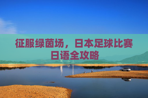 征服绿茵场，日本足球比赛日语全攻略