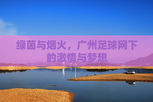 绿茵与烟火,广州足球网下的激情与梦想