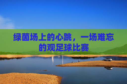 绿茵场上的心跳,一场难忘的观足球比赛