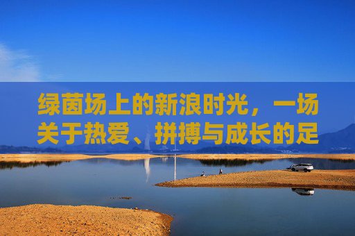 绿茵场上的新浪时光,一场关于热爱、拼搏与成长的足球人生