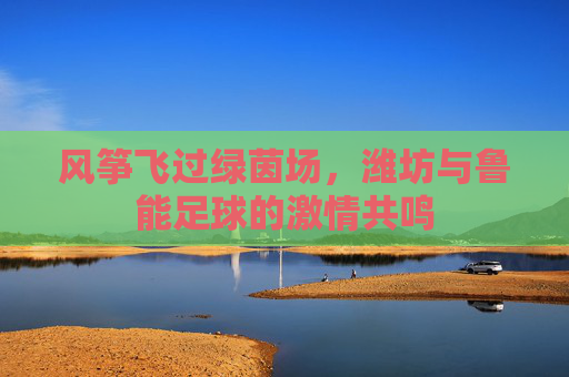 风筝飞过绿茵场,潍坊与鲁能足球的激情共鸣