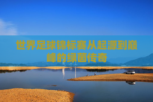 世界足球锦标赛从起源到巅峰的绿茵传奇