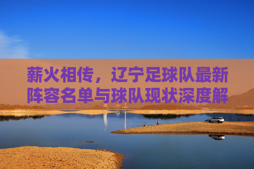 薪火相传,辽宁足球队最新阵容名单与球队现状深度解析