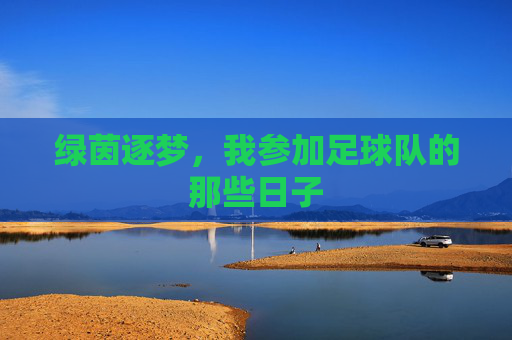 绿茵逐梦,我参加足球队的那些日子